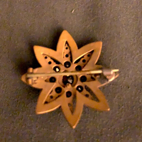 Ruby Brooch - Picture 2 of 3